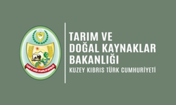 Hayvancılara destek ödemesi yapıldı