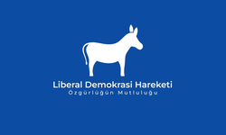 LDH’den Filo Jet faciasıyla ilgili çağrı: “Dosya baştan sona açılmalıdır”