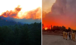 Muğla ve Antalya'da orman yangını
