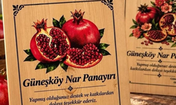 Güneşköy Nar Panayırı iptal edildi