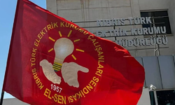 EL-SEN: Taleplerimiz yazılı güvenceye alınırsa grevi kaldırmaya hazırız