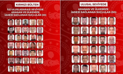 Son 1 ayda kırmızı bültenle ve ulusal seviyede aranan 63 suçlu Türkiye'ye getirildi