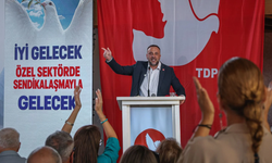 Çeler: “TDP Meclis’te de hükümette de olacak”
