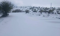 MEVSİMİN İLK KARI YAĞDI