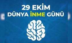 Aytül Özdil: İnmede zamanında müdahale hayat kurtarıyor