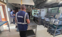 Kaplıca bölgesinde faaliyet gösteren su ürünleri restoranları kontrol edildi