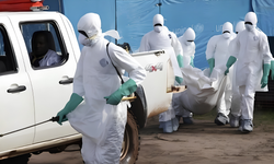 Ebola fonlarının kullanımına ilişkin soru işaretleri: 700 milyon doların üzerinde kaynak
