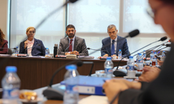 Gemi faciasını araştıracak komite toplandı