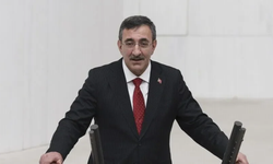 Yılmaz: “Özel zararlar için Hazine kaynağı kullanılmayacak”