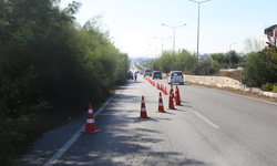 Lefkoşa-Girne Anayolu’nda ağaç budama çalışmaları başladı