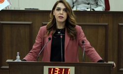 KÜRŞAT: “CYPFRUVEX’TE YAŞANANLARIN HESABINI KİM VERECEK?”