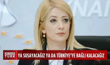 DİSİ Başkanı Dimitriu: “Ya susayacağız ya da Türkiye’ye bağlı kalacağız”
