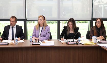 Yasa Gücünde Kararname” Genel Kurul’a sevk edildi