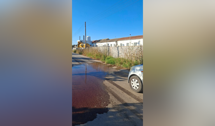 Gazimağusa Mezbahasında Çözüm Bekleyen Sorun