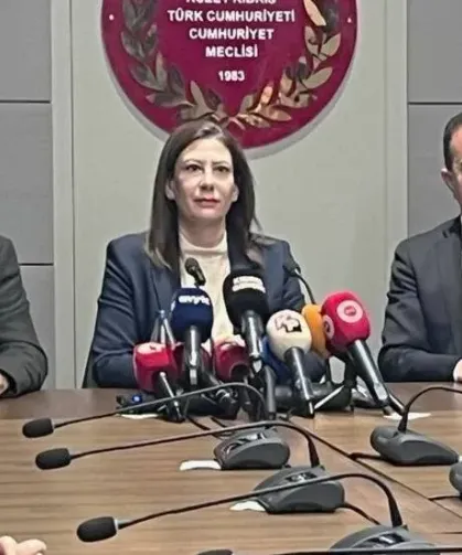 Sıla Usar İncirli: Tasarılar geri çekilsin, erken seçim tarihi belirlensin