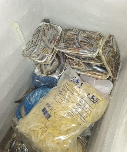 Hayvancılık Dairesi balık restoranlarını denetledi: 16 kilo balık imha edildi