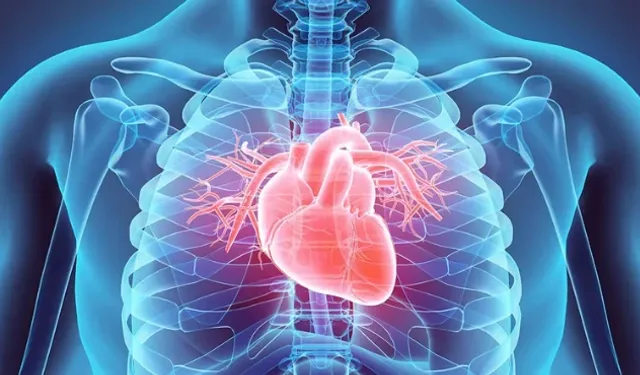 Kalp hastalığının “gizlisi saklısı” yok!