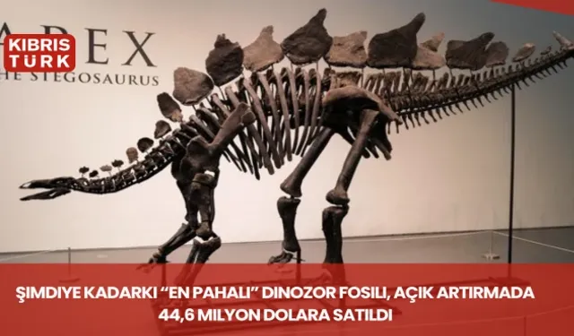 Şimdiye kadarki “en pahalı” dinozor fosili, açık artırmada 44,6 milyon dolara satıldı