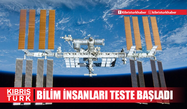 Bilim insanları, uzayda organ nakli testlerine başlıyor