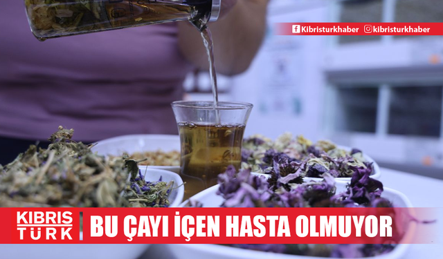 Bağışıklığı güçlendiren 4 bitki karışımı! Bu çayı içen hasta olmuyor!