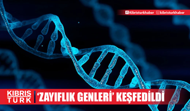 Bilim insanları, kilo vermeyi kolaylaştıran "zayıflık genleri" keşfetti