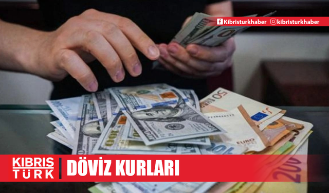 5 Kasım 2024 Döviz Kurları