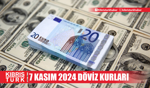 7 Kasım 2024 Döviz Kurları