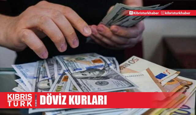 Döviz Kurları