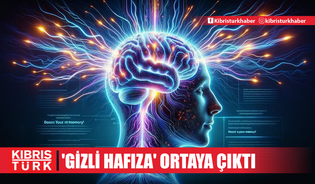 Vücudun 'gizli hafızası' ortaya çıktı: İşte beyin gibi anı depolayan şaşırtıcı organ