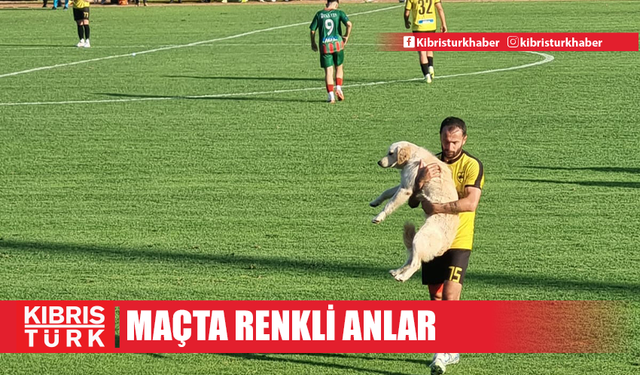 SAHAYA GİREN SEVİMLİ KÖPEK MÜSABAKAYI KISA SÜRELİĞİNE DURDURDU