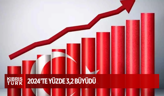 Türkiye ekonomisi 2024'te yüzde 3,2 büyüdü