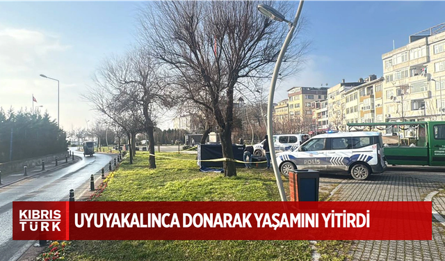 Uyuyakalınca donarak yaşamını yitirdi.