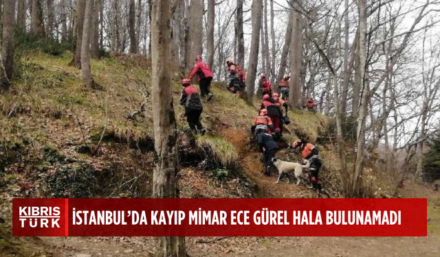 İstanbul'da kayıp mimar Ece Gürel'i arama çalışmaları sürüyor
