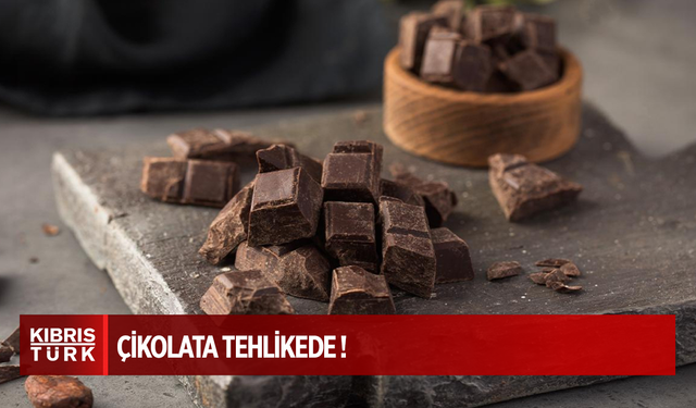 2030’a kadar tüm kakao ağaçları yok olabilir
