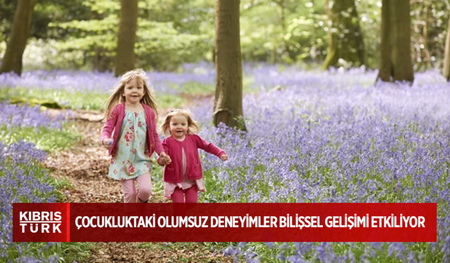 Olumsuz deneyimlerin bilişsel gelişim üzerinde etkili olduğu tespit edildi