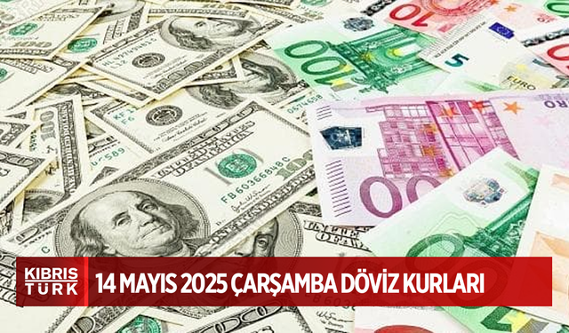 Döviz kurları