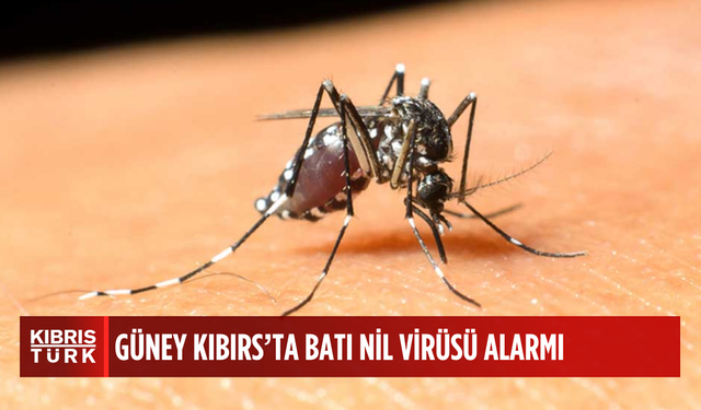 Batı Nil Virüsü konusunda alarm