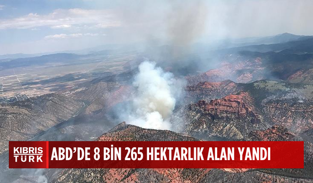 ABD'nin Arizona eyaletindeki orman yangınlarında 8 bin 265 hektarlık alan yandı