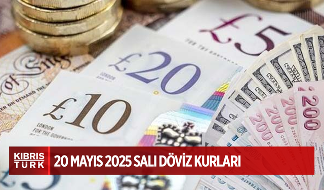 Döviz kurları