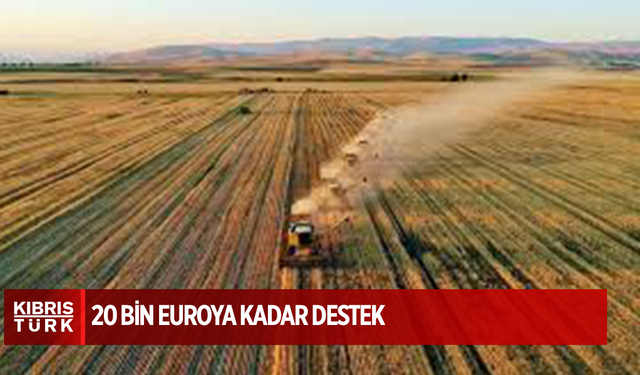 Güney Kıbrıs, Kuzey Kıbrıs'ta çiftçilik yapan Rumlara 20 bin euroya kadar destek verecek