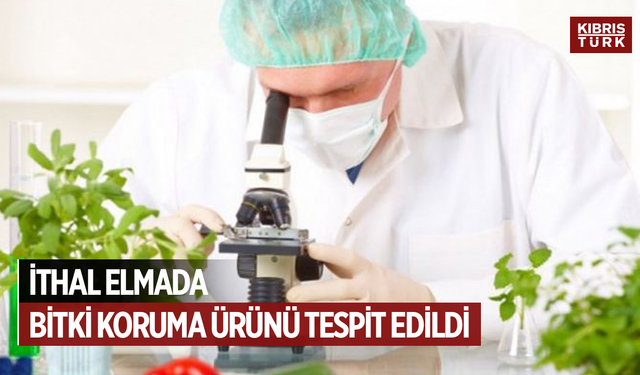 İthal elmada limit üstü bitki koruma ürünü tespit edildi