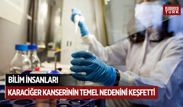 Bilim insanları, karaciğer kanserinin temel nedenini keşfetti