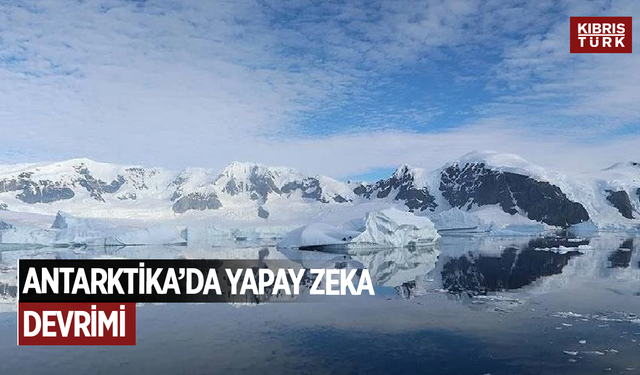 Antarktika’da yapay zeka devrimi: Saniyeler içinde tespit ettiler