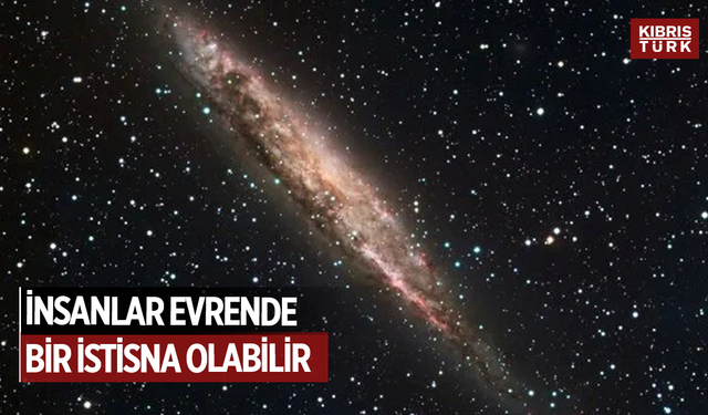 ABD'li gökbilimci araştırdı: İnsanlar evrende bir istisna olabilir