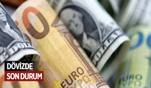 Dövizde son durum
