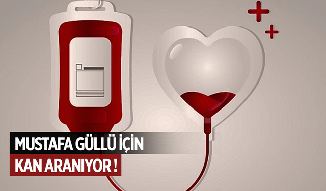 Mustafa Güllü için kan aranıyor !