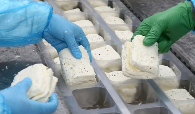 Güney Kıbrıs’ın hellim ihracatında artış