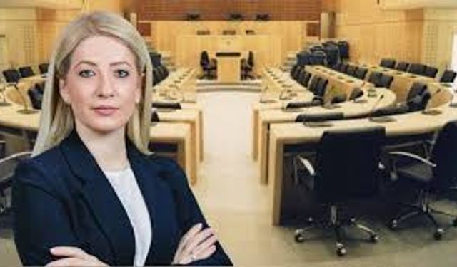 Hindistan ile Rum Kesimi Arasında Stratejik Görüşmeler