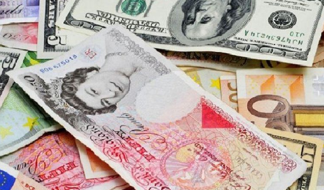 Euro 49, sterlin 55,80, dolar 42,55 liradan işlem görüyor