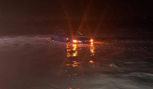 Peyzaj Mimarları Odası: “Yaşadığımız şey doğanın değil insanın afetidir”